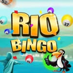 Rio Bingo