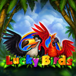 Lucky Birds