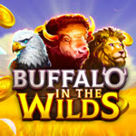 Buffalo in the Wilds