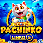 Pachinko Linko 5